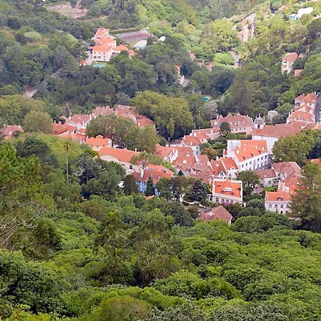 Origem Sintra